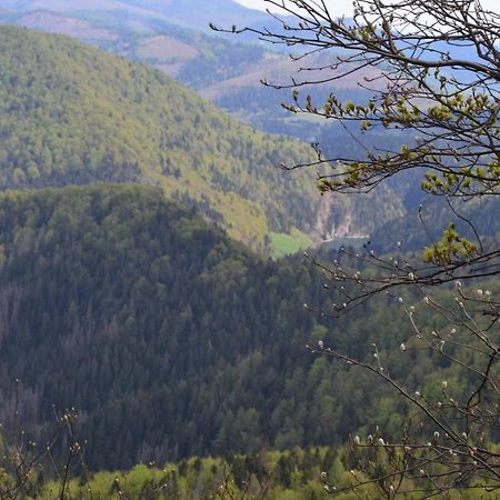 Penzion Thamasy Spišské Tomášovce Extérieur photo
