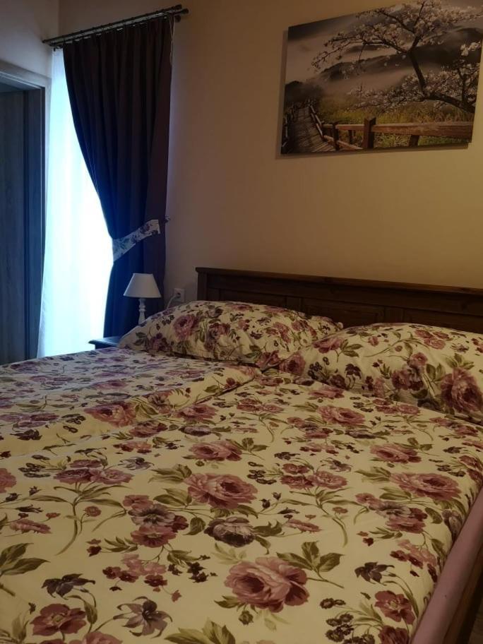 Penzion Thamasy Spišské Tomášovce Extérieur photo