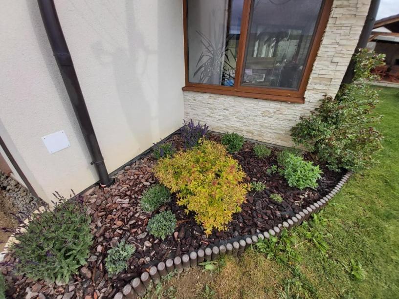 Penzion Thamasy Spišské Tomášovce Extérieur photo