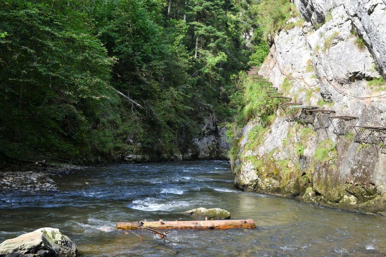 Penzion Thamasy Spišské Tomášovce Extérieur photo