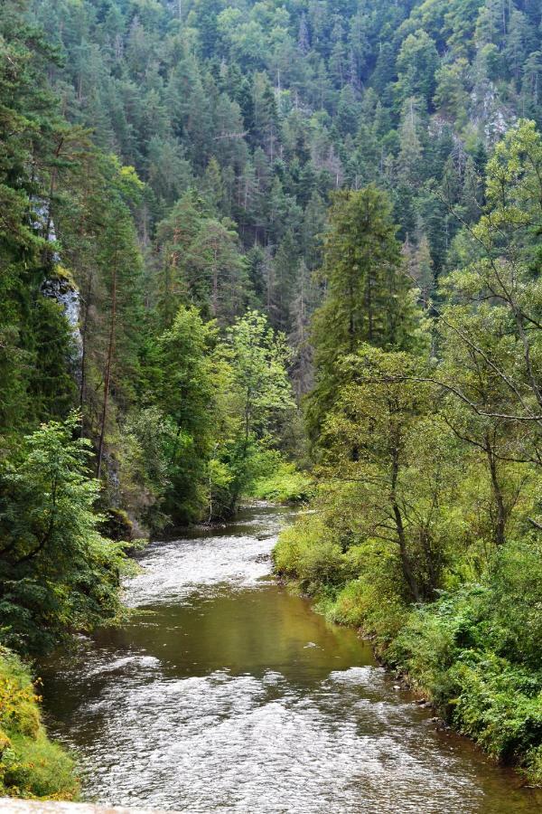 Penzion Thamasy Spišské Tomášovce Extérieur photo